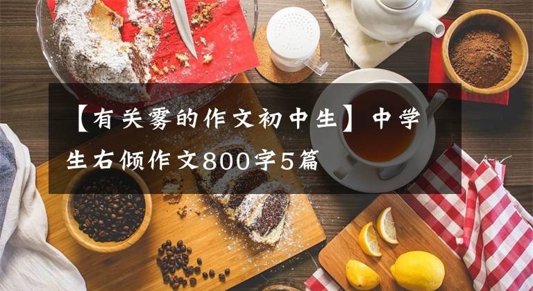 【有關(guān)霧的作文初中生】中學(xué)生右傾作文800字5篇