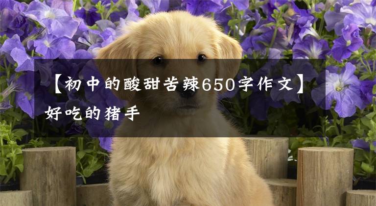 【初中的酸甜苦辣650字作文】好吃的豬手