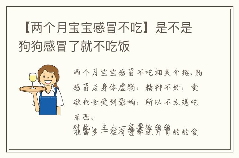 【兩個(gè)月寶寶感冒不吃】是不是狗狗感冒了就不吃飯