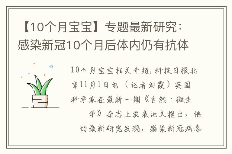 【10個月寶寶】專題最新研究：感染新冠10個月后體內(nèi)仍有抗體