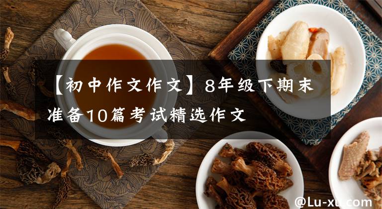 【初中作文作文】8年級下期末準(zhǔn)備10篇考試精選作文