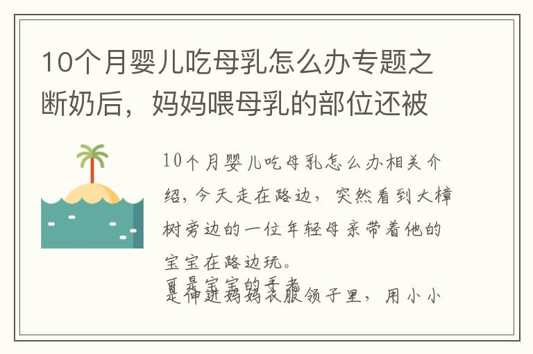 10個(gè)月嬰兒吃母乳怎么辦專題之?dāng)嗄毯?，媽媽喂母乳的部位還被寶寶撫摸，怎么改掉這毛病呢