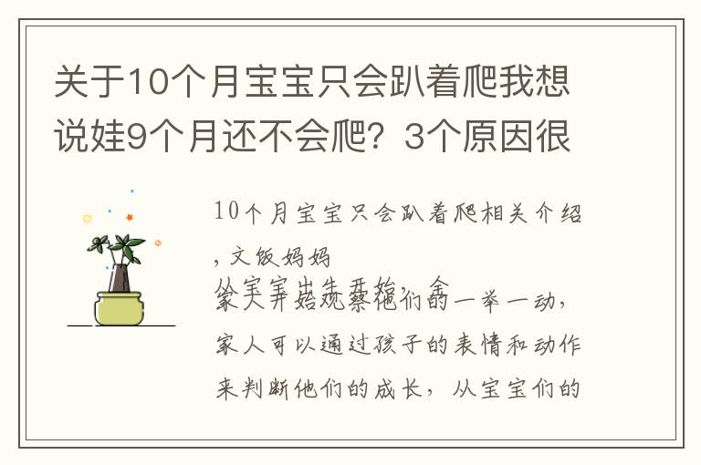 關(guān)于10個(gè)月寶寶只會(huì)趴著爬我想說娃9個(gè)月還不會(huì)爬？3個(gè)原因很關(guān)鍵，用對(duì)方法助寶寶爬行一臂之力