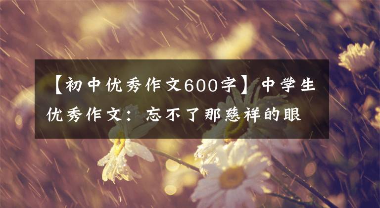 【初中優(yōu)秀作文600字】中學(xué)生優(yōu)秀作文：忘不了那慈祥的眼神