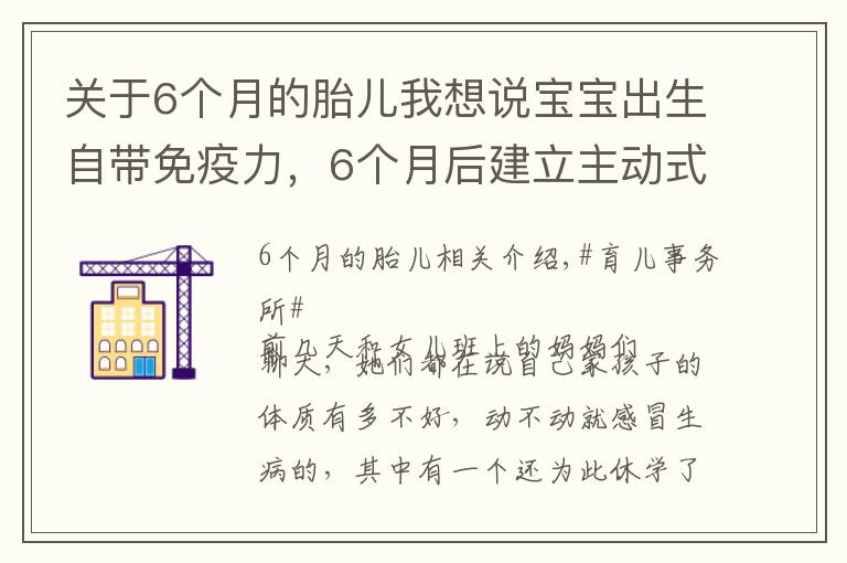 關(guān)于6個月的胎兒我想說寶寶出生自帶免疫力，6個月后建立主動式免疫，幾種營養(yǎng)素不可缺