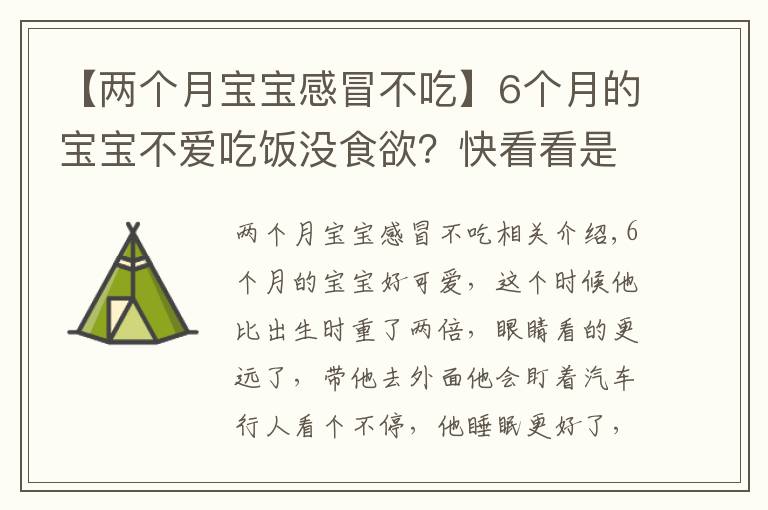 【兩個(gè)月寶寶感冒不吃】6個(gè)月的寶寶不愛吃飯沒食欲？快看看是不是該補(bǔ)鐵了