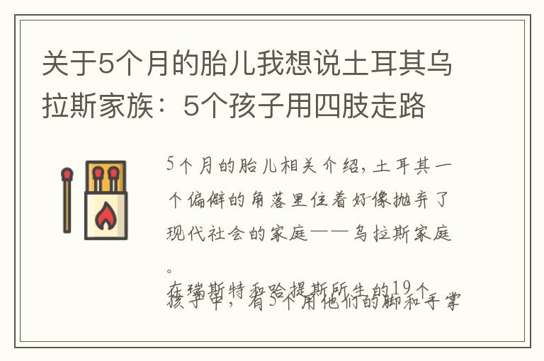 關(guān)于5個月的胎兒我想說土耳其烏拉斯家族：5個孩子用四肢走路 背后是什么原因？