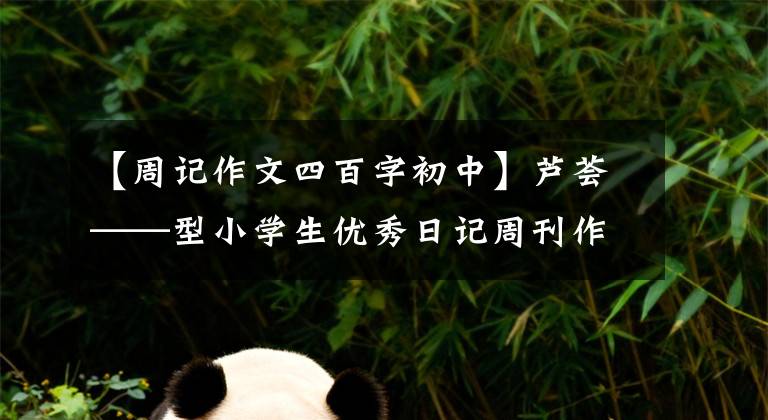 【周記作文四百字初中】蘆薈——型小學(xué)生優(yōu)秀日記周刊作文400字