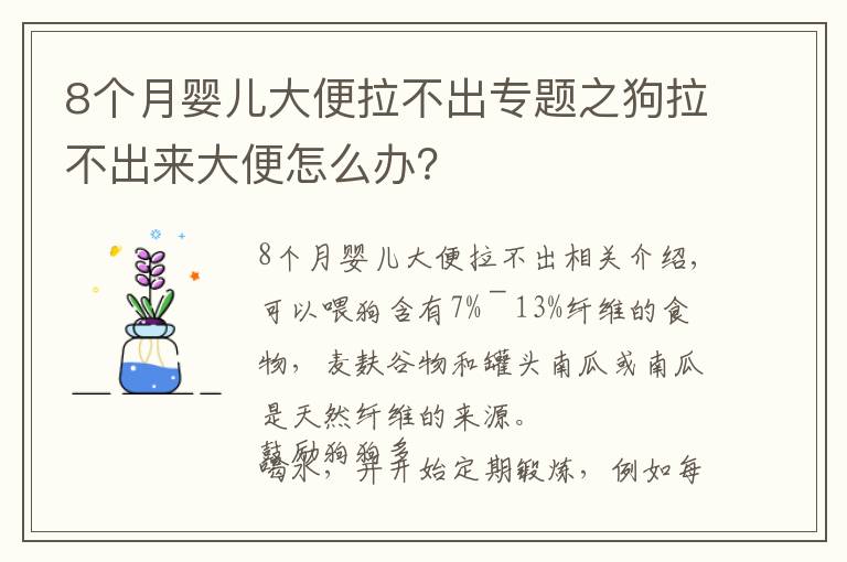 8個(gè)月嬰兒大便拉不出專題之狗拉不出來大便怎么辦？