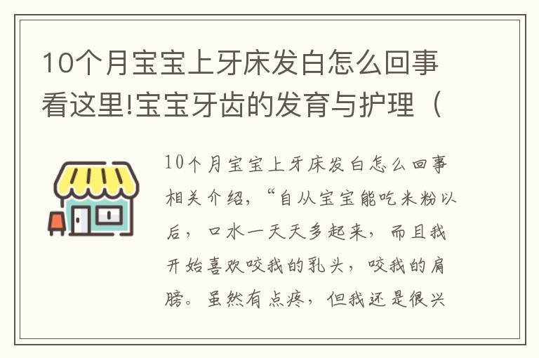 10個月寶寶上牙床發(fā)白怎么回事看這里!寶寶牙齒的發(fā)育與護(hù)理（上）