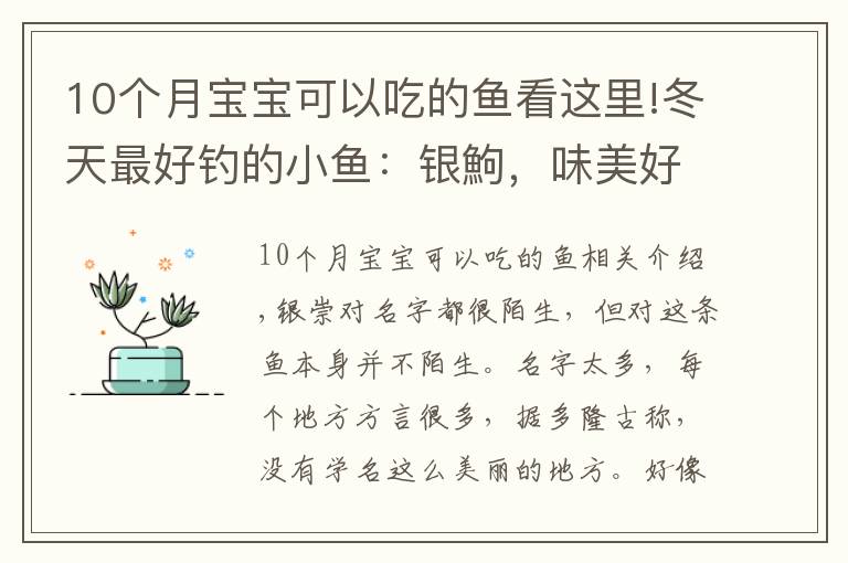 10個(gè)月寶寶可以吃的魚(yú)看這里!冬天最好釣的小魚(yú)：銀鮈，味美好釣分布廣