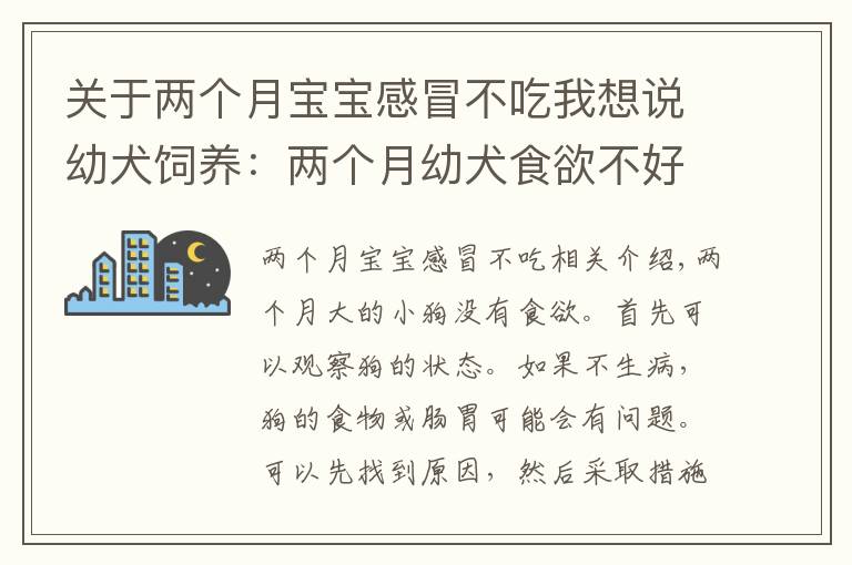 關(guān)于兩個(gè)月寶寶感冒不吃我想說幼犬飼養(yǎng)：兩個(gè)月幼犬食欲不好怎么辦？針對(duì)原因采取措施