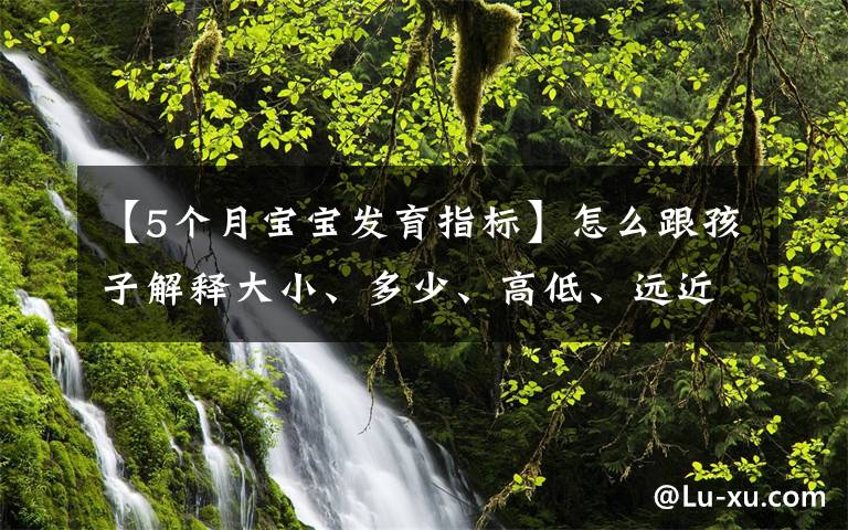 【5個月寶寶發(fā)育指標(biāo)】怎么跟孩子解釋大小、多少、高低、遠近等相對概念？