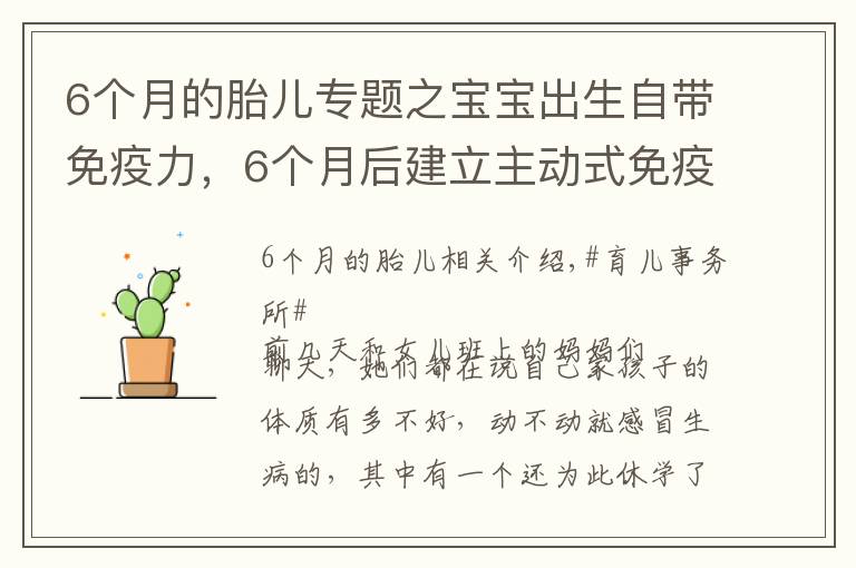 6個(gè)月的胎兒專題之寶寶出生自帶免疫力，6個(gè)月后建立主動(dòng)式免疫，幾種營(yíng)養(yǎng)素不可缺