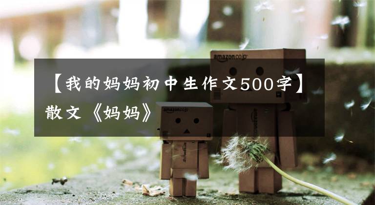 【我的媽媽初中生作文500字】散文《媽媽》