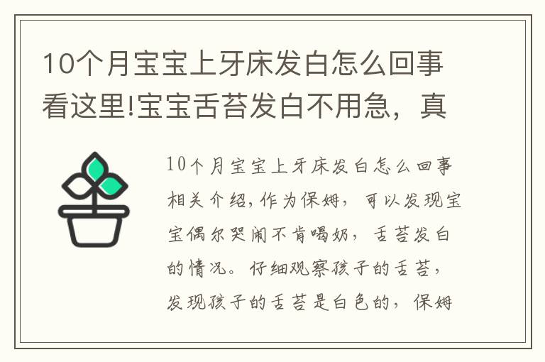 10個(gè)月寶寶上牙床發(fā)白怎么回事看這里!寶寶舌苔發(fā)白不用急，真相可能是這樣的