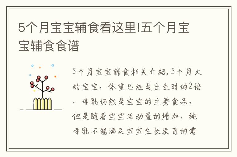 5個(gè)月寶寶輔食看這里!五個(gè)月寶寶輔食食譜