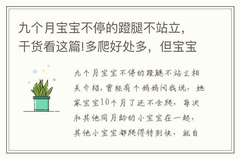 九個月寶寶不停的蹬腿不站立，干貨看這篇!多爬好處多，但寶寶就是不爬怎么辦？要尊重寶寶的個性發(fā)展