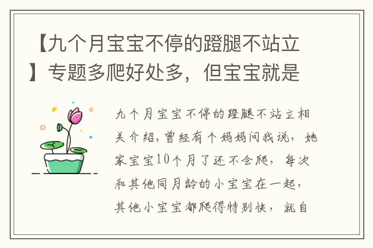 【九個月寶寶不停的蹬腿不站立】專題多爬好處多，但寶寶就是不爬怎么辦？要尊重寶寶的個性發(fā)展