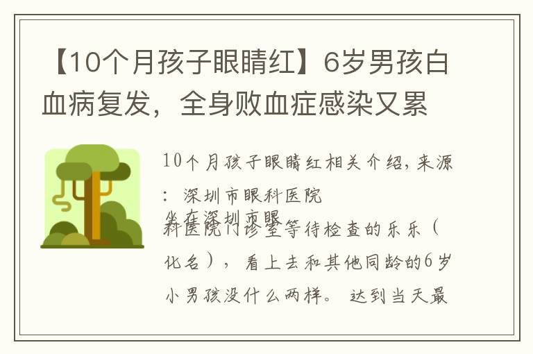 【10個月孩子眼睛紅】6歲男孩白血病復(fù)發(fā)，全身敗血癥感染又累及眼睛，眼球險些摘除