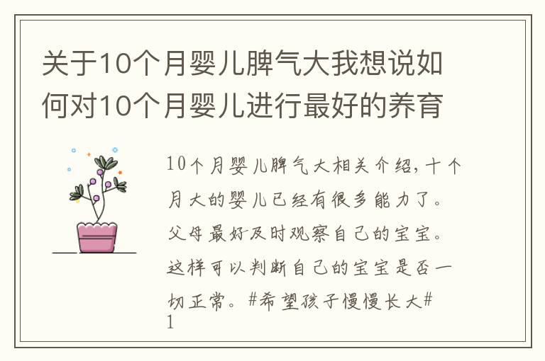 關(guān)于10個月嬰兒脾氣大我想說如何對10個月嬰兒進(jìn)行最好的養(yǎng)育