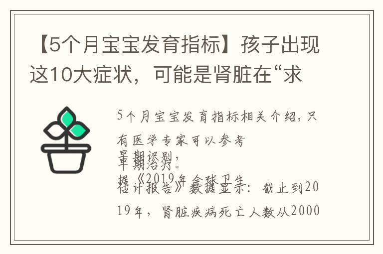 【5個月寶寶發(fā)育指標】孩子出現(xiàn)這10大癥狀，可能是腎臟在“求救”