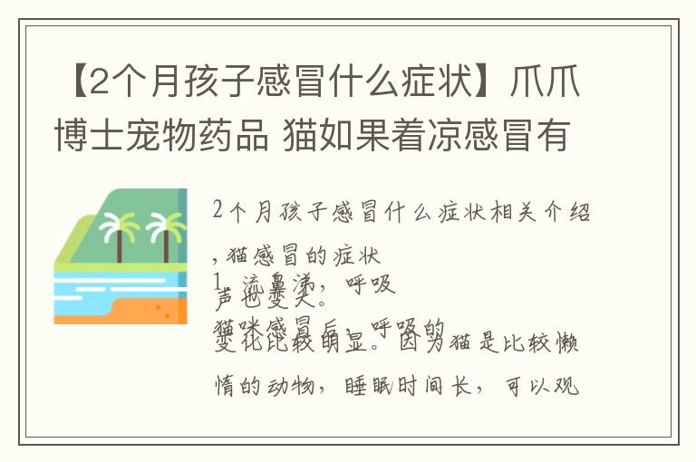 【2個(gè)月孩子感冒什么癥狀】爪爪博士寵物藥品 貓如果著涼感冒有什么癥狀