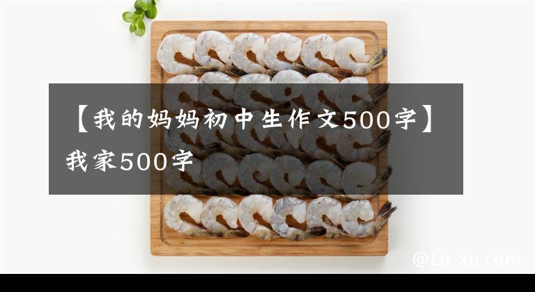 【我的媽媽初中生作文500字】我家500字