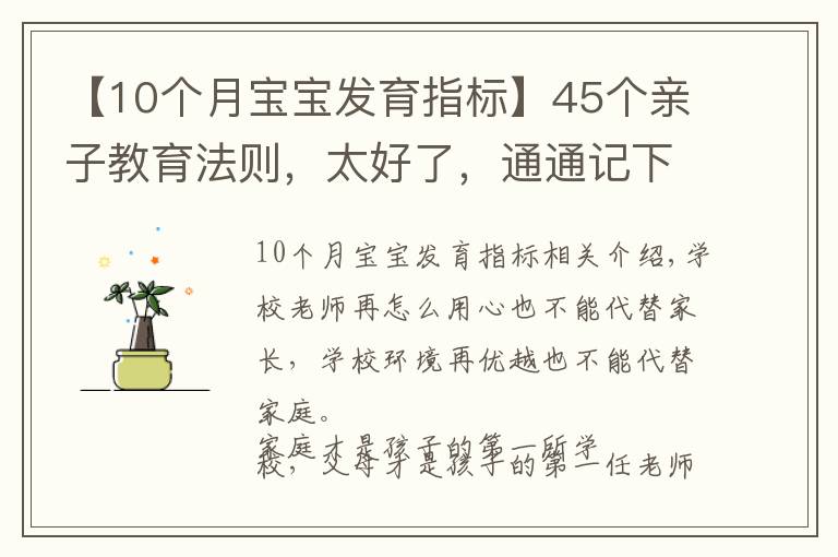 【10個月寶寶發(fā)育指標】45個親子教育法則，太好了，通通記下來