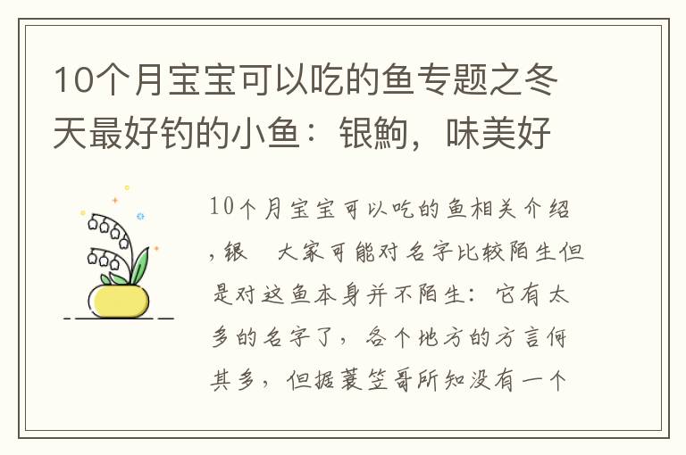 10個月寶寶可以吃的魚專題之冬天最好釣的小魚：銀鮈，味美好釣分布廣