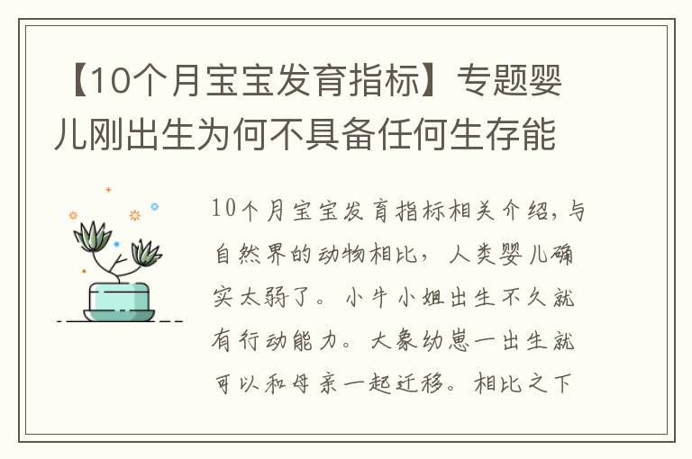 【10個(gè)月寶寶發(fā)育指標(biāo)】專題嬰兒剛出生為何不具備任何生存能力？