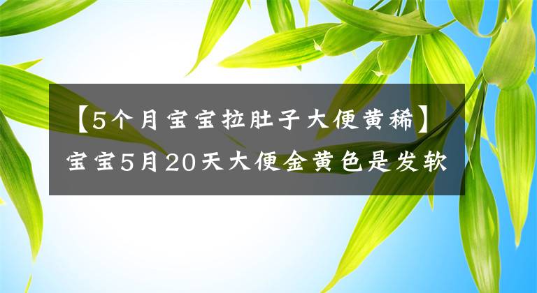 【5個(gè)月寶寶拉肚子大便黃稀】寶寶5月20天大便金黃色是發(fā)軟是拉肚子嗎？孩子漲肚能吃抗生素藥物嗎？