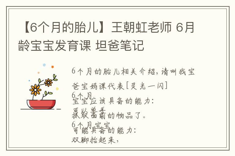 【6個月的胎兒】王朝虹老師 6月齡寶寶發(fā)育課 坦爸筆記