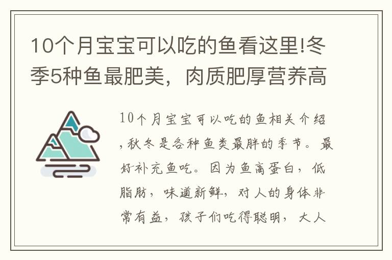 10個月寶寶可以吃的魚看這里!冬季5種魚最肥美，肉質(zhì)肥厚營養(yǎng)高，常吃健腦記性好，孩子要多吃