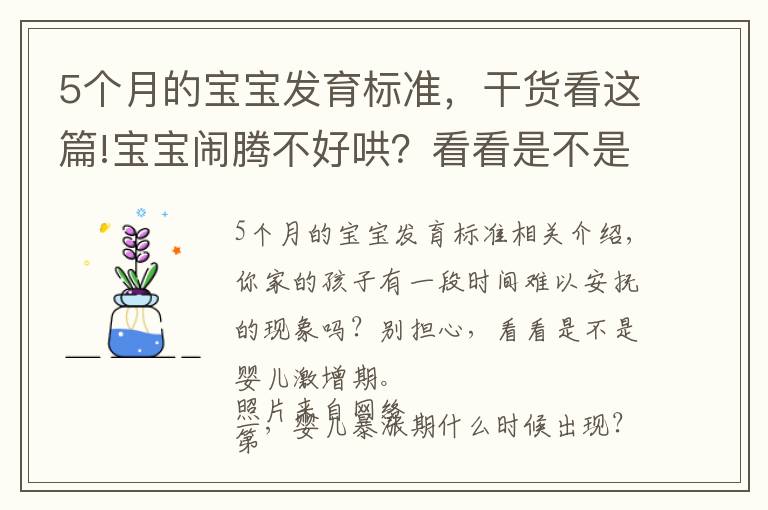 5個月的寶寶發(fā)育標準，干貨看這篇!寶寶鬧騰不好哄？看看是不是猛漲期到了