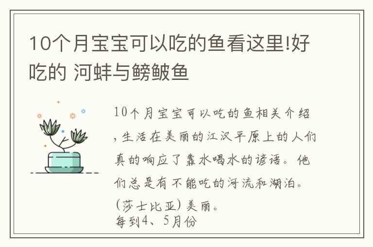 10個月寶寶可以吃的魚看這里!好吃的 河蚌與鳑鲏魚