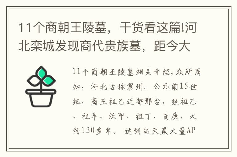 11個商朝王陵墓，干貨看這篇!河北欒城發(fā)現(xiàn)商代貴族墓，距今大約三千多年，填補了歷史考古空白