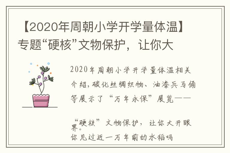 【2020年周朝小學(xué)開(kāi)學(xué)量體溫】專(zhuān)題“硬核”文物保護(hù)，讓你大開(kāi)眼界