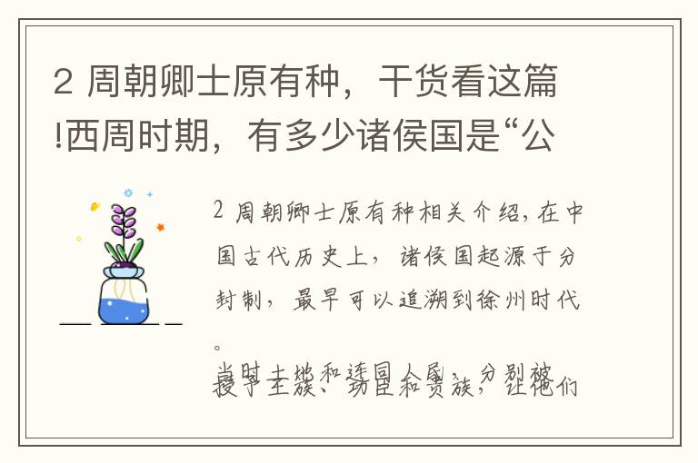 2 周朝卿士原有種，干貨看這篇!西周時期，有多少諸侯國是“公爵”呢？