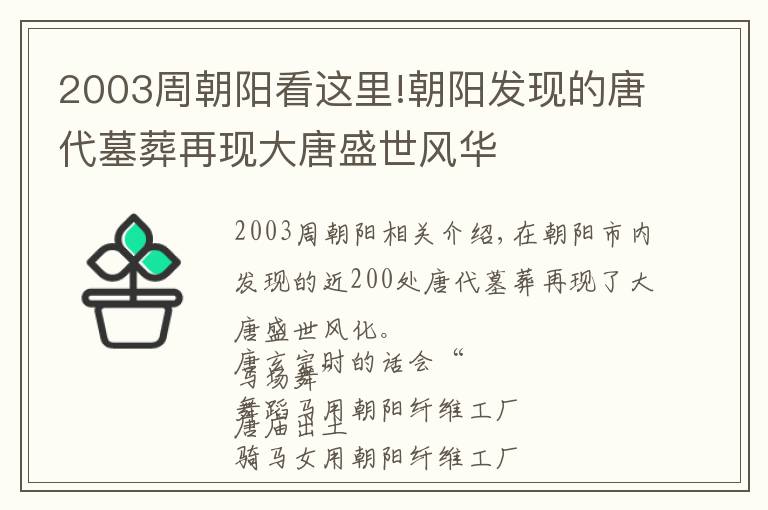 2003周朝陽看這里!朝陽發(fā)現(xiàn)的唐代墓葬再現(xiàn)大唐盛世風華