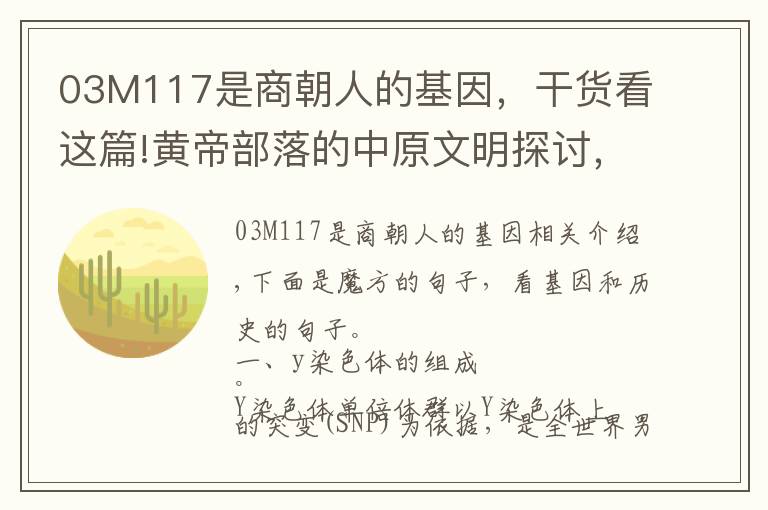 03M117是商朝人的基因，干貨看這篇!黃帝部落的中原文明探討，尋找黃金家族