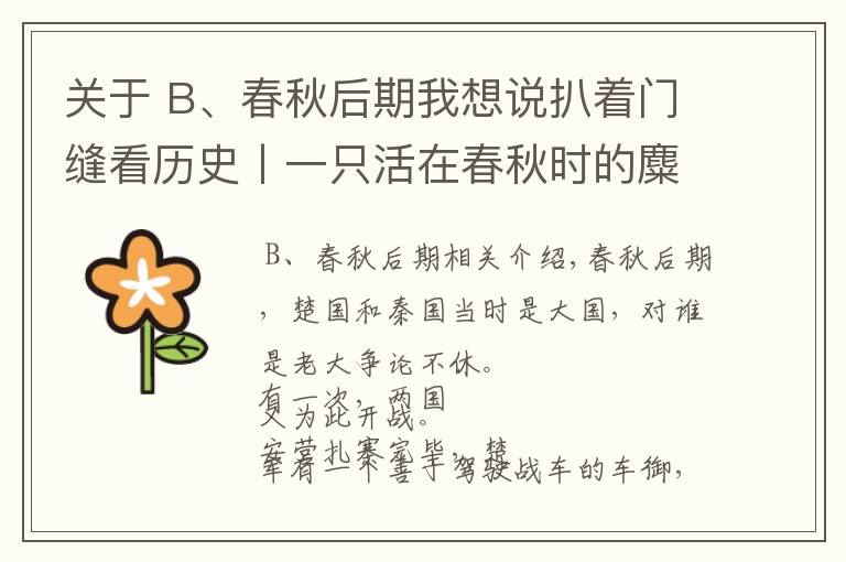 關(guān)于 B、春秋后期我想說扒著門縫看歷史丨一只活在春秋時的麋鹿會遭遇什么？