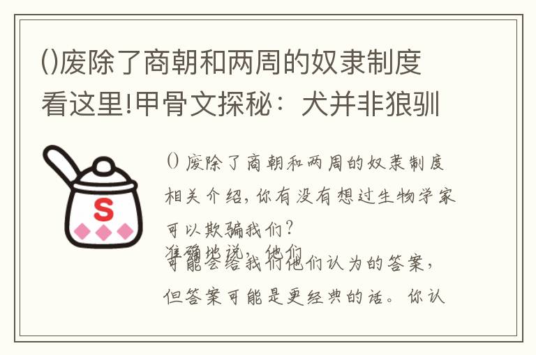 廢除了商朝和兩周的奴隸制度看這里!甲骨文探秘：犬并非狼馴化來，甲骨文顯示貓和狼不是中國本土物種