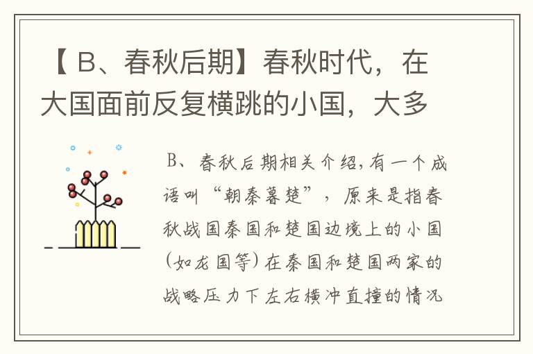 【 B、春秋后期】春秋時(shí)代，在大國(guó)面前反復(fù)橫跳的小國(guó)，大多結(jié)局悲慘