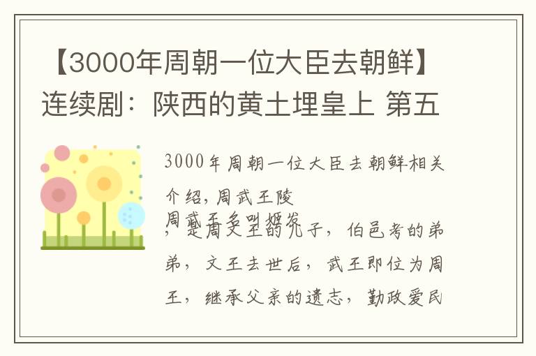 【3000年周朝一位大臣去朝鮮】連續(xù)劇：陜西的黃土埋皇上 第五集 周武王陵