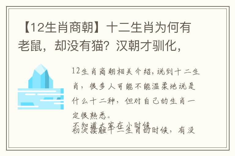 【12生肖商朝】十二生肖為何有老鼠，卻沒(méi)有貓？漢朝才馴化，時(shí)間太晚了