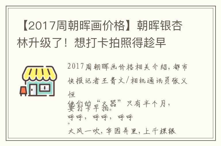 【2017周朝暉畫價(jià)格】朝暉銀杏林升級(jí)了！想打卡拍照得趁早