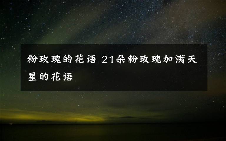 粉玫瑰的花語(yǔ) 21朵粉玫瑰加滿天星的花語(yǔ)