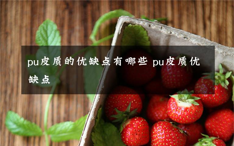 pu皮質(zhì)的優(yōu)缺點(diǎn)有哪些 pu皮質(zhì)優(yōu)缺點(diǎn)