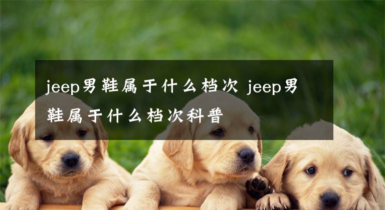 jeep男鞋屬于什么檔次 jeep男鞋屬于什么檔次科普